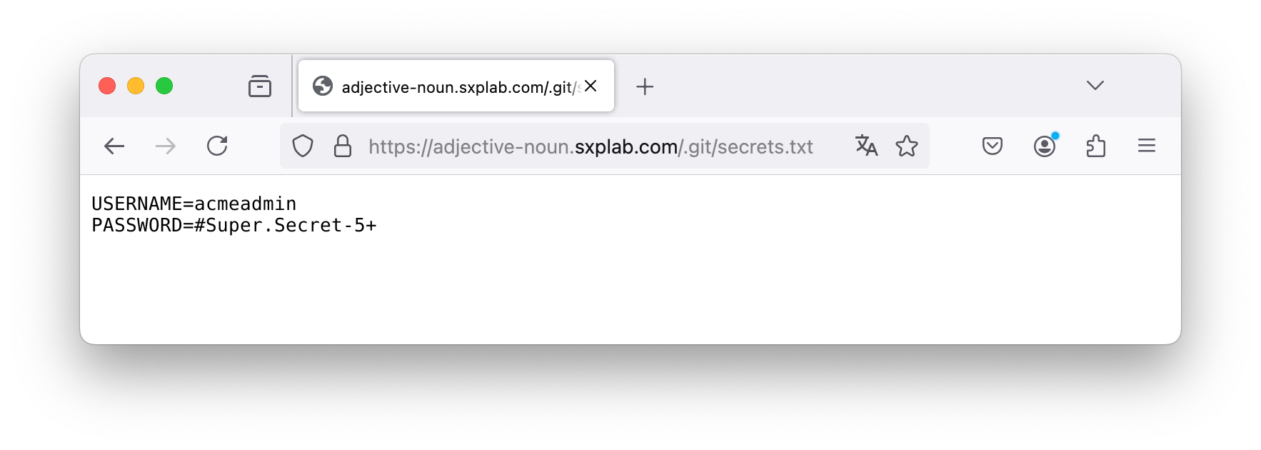 WAF 배포 전 노출된 secrets 파일